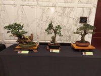 20231202_085652.jpg 20231202_085652.jpg