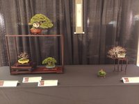 20231202_090340.jpg 20231202_090340.jpg