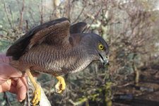 IMGP3673.JPG IMGP3673.JPG