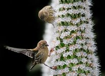 large.8923112-orig.jpg.37a26d02104e16a3443e4a4874640ad6.jpg large.8923112-orig.jpg.37a26d02104e16a3443e4a4874640ad6.jpg