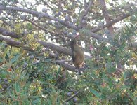 IMGP5666c.jpg IMGP5666c.jpg