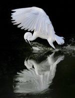 large.8779811-orig.jpg.f4ce985b56b981421dd257ecf2ad2064.jpg large.8779811-orig.jpg.f4ce985b56b981421dd257ecf2ad2064.jpg