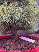 IMG_0186.jpeg