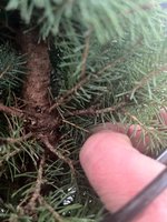 IMG_0189.jpeg