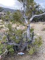 IMG_7971.jpg