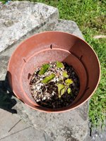 20210906_122927.jpg