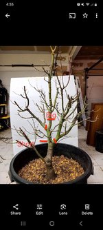 Screenshot_20231212_165535_Photos.jpg Screenshot_20231212_165535_Photos.jpg