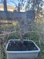 IMG_0686.jpeg