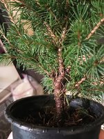 IMG_20231219_093702519.jpg