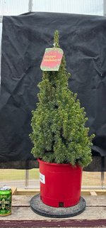 IMG_0182.jpeg