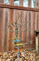IMG_0158.jpeg