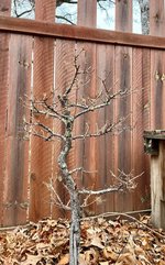 IMG_0158.jpeg