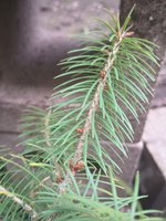IMG_20231228_130217416.jpg