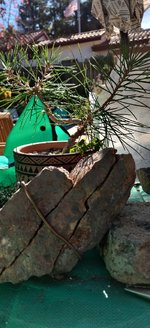 IMG_20240107_125103.jpg