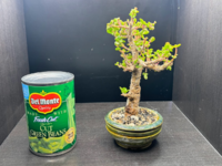 1704773903329.png 1704773903329.png