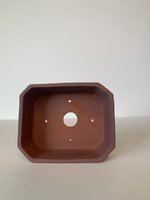 IMG_7929.jpeg