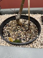 IMG_1292.jpeg