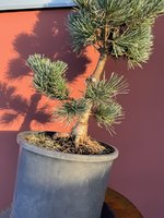 IMG_1299.jpeg