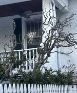 IMG_2418.jpeg