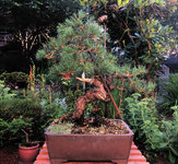 IMG_0070.jpeg