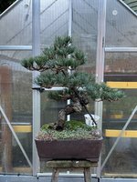 IMG_0796.jpeg