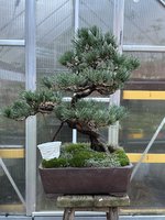 IMG_0800.jpeg