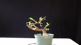 Shotcut_00_08_12_179.jpg