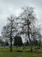1706404359681.png
