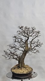 20240121_213035.jpg