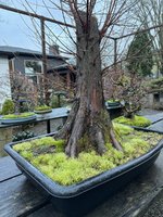 IMG_1387.jpeg