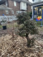 IMG_7474.jpeg