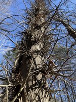 IMG_0838.jpeg