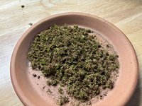 IMG_2947.jpeg
