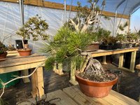 IMG_0354.jpeg IMG_0354.jpeg