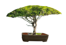 Screenshot 2024-02-10 at 7.15.44 PM.png