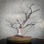 IMG_8176.png IMG_8176.png