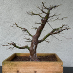 IMG_8179.png IMG_8179.png