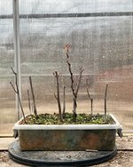 IMG_0434.jpeg