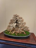 IMG_20240214_154321.jpg