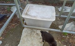 20240219_062158.jpg 20240219_062158.jpg