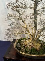 IMG_0660.jpeg
