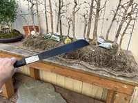 IMG_8539.jpeg