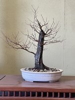 IMG_5456.jpeg IMG_5456.jpeg