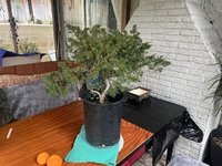 IMG_0865.jpeg