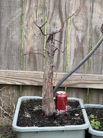 IMG_1221.jpeg