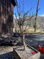 IMG_4696.jpeg