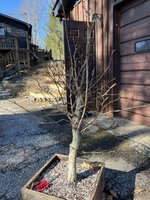 IMG_4697.jpeg
