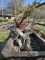 IMG_0669.jpeg