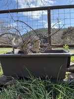 IMG_0671.jpeg