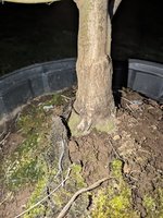 PXL_20240305_004937208.jpg